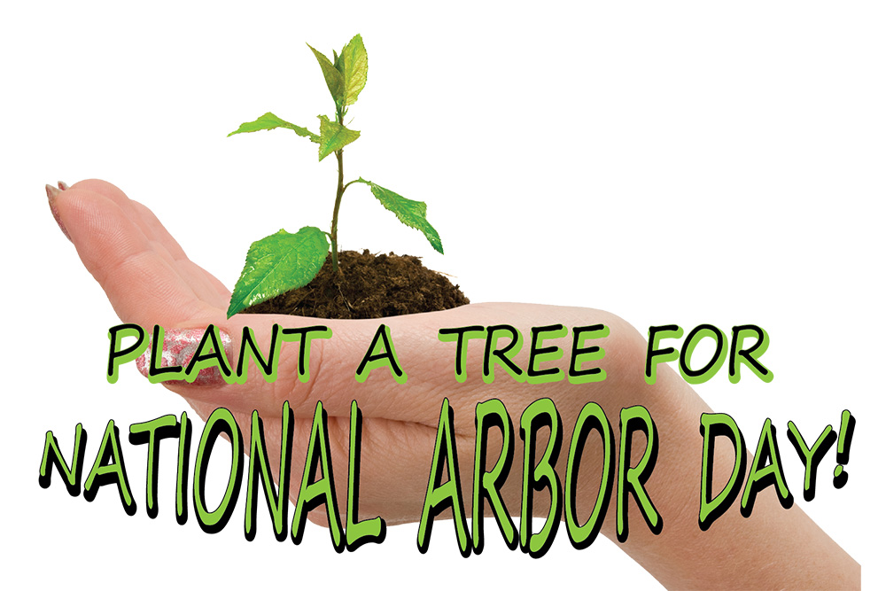 National Arbor Day 2025 Sal Marcie