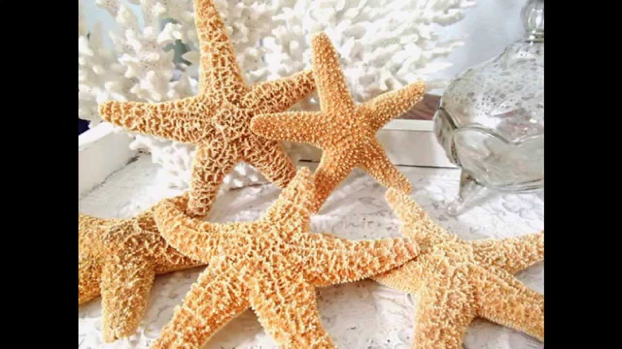 How to Preserve a Starfish Learn how to